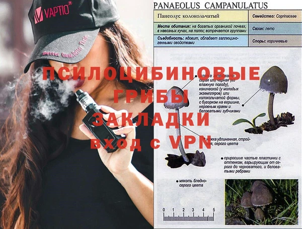 MDMA Premium VHQ Богородицк