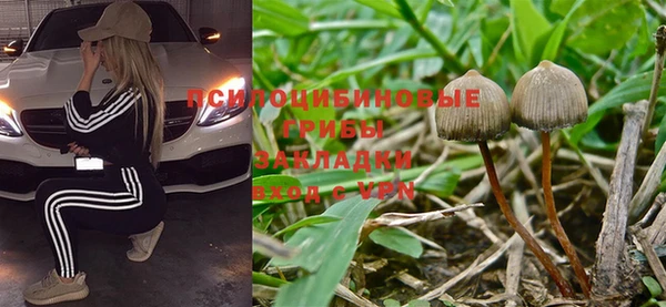 а пвп мука Баксан